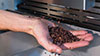 Winnower trituración del grano de cacao tostado